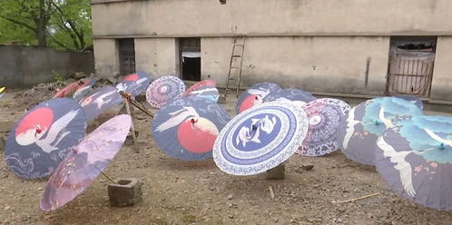 日用杂品 平凡生活中的不凡伴侣